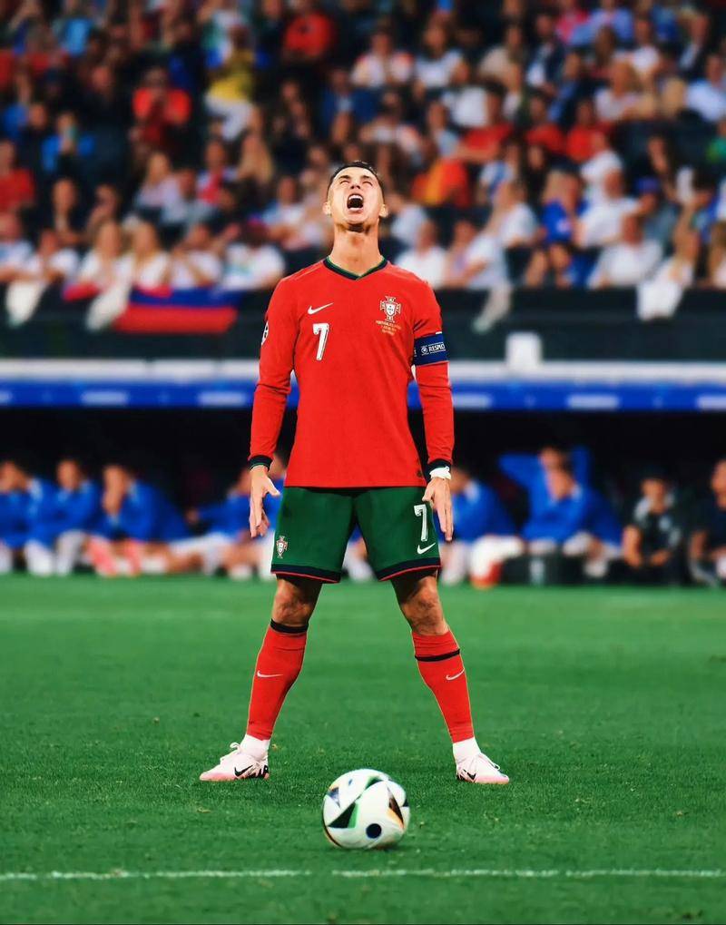 守的连续性 守的连续性