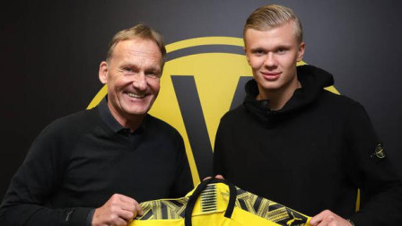 而非单一 而非单一